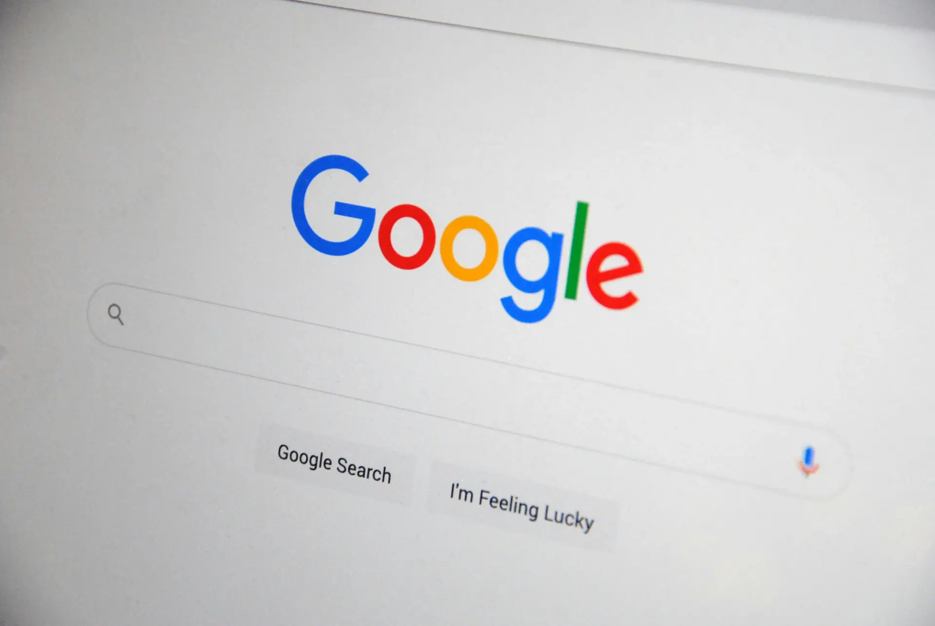 Website searchbar